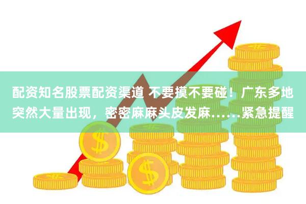 配资知名股票配资渠道 不要摸不要碰！广东多地突然大量出现，密密麻麻头皮发麻……紧急提醒