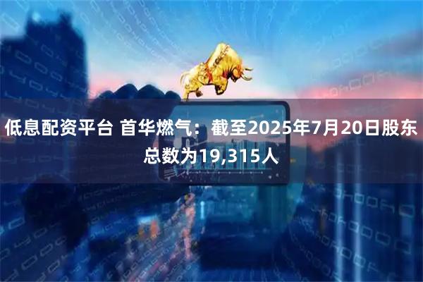 低息配资平台 首华燃气：截至2025年7月20日股东总数为19,315人